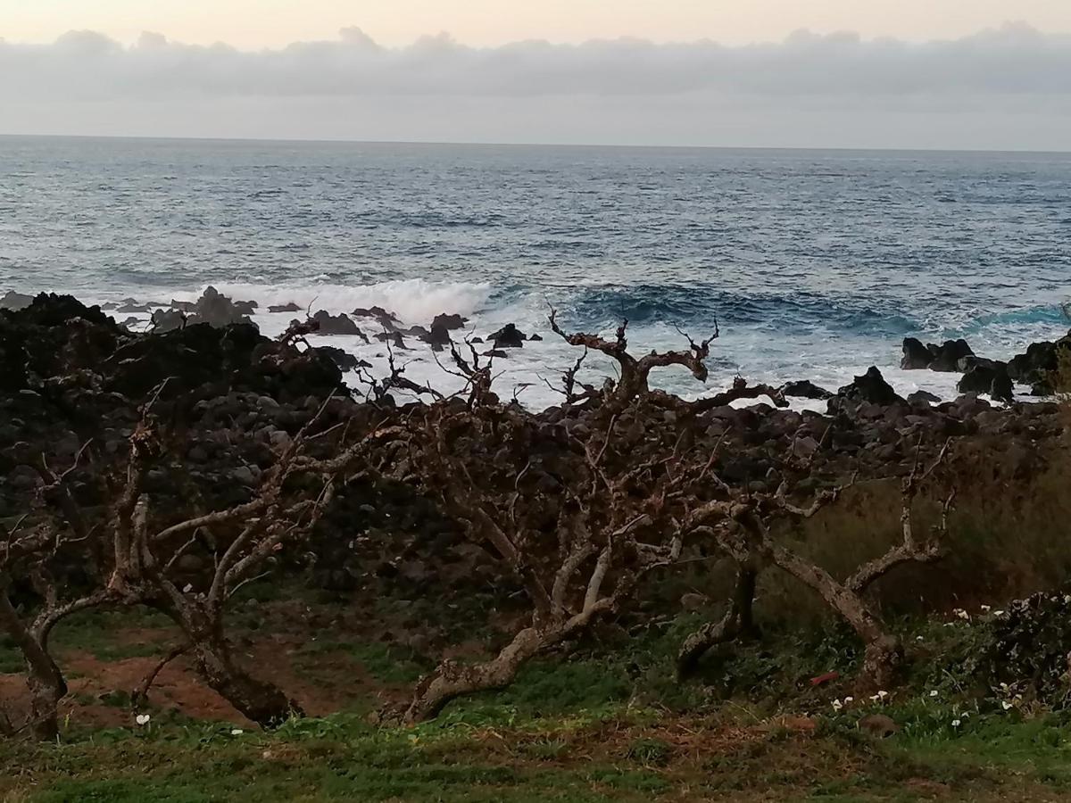 A Casa Da Formosinha Βίλα Madalena  Εξωτερικό φωτογραφία