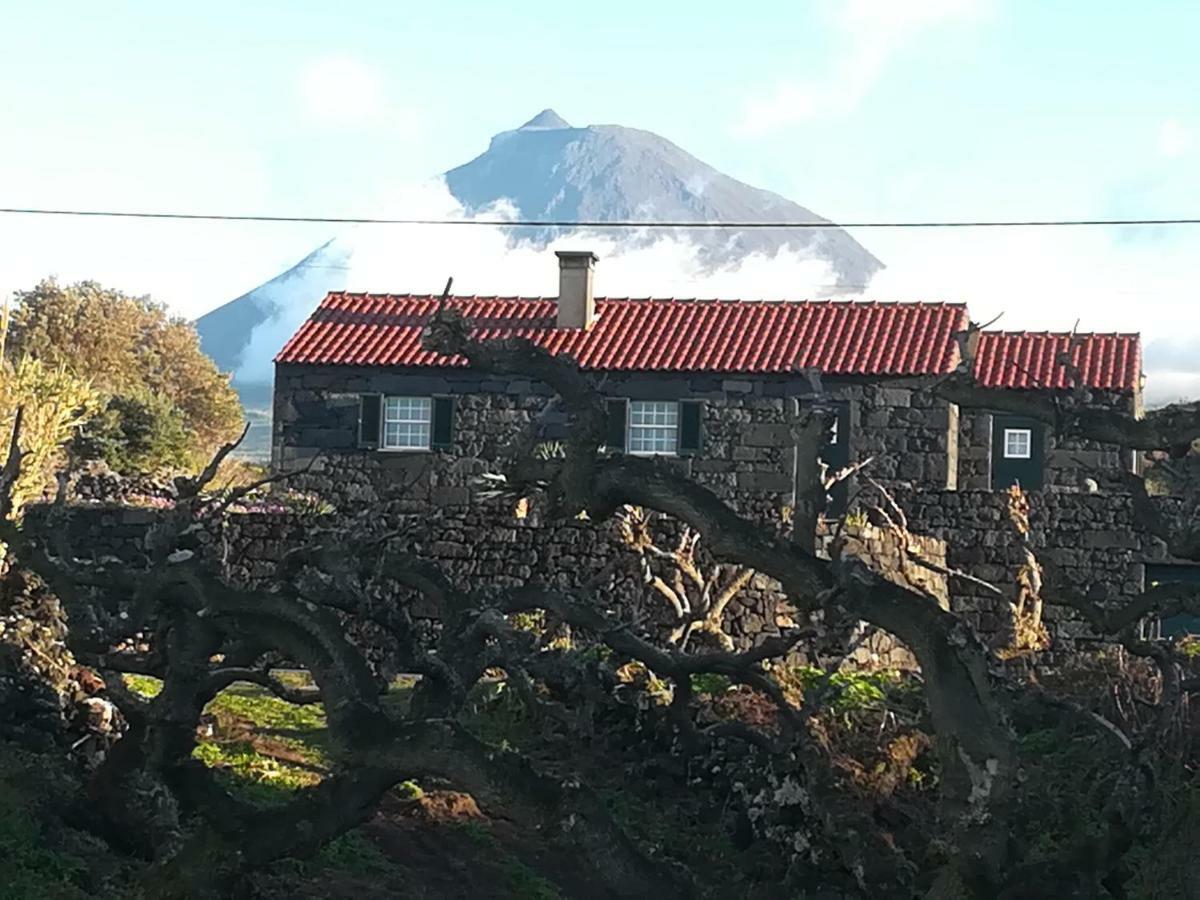 A Casa Da Formosinha Βίλα Madalena  Εξωτερικό φωτογραφία